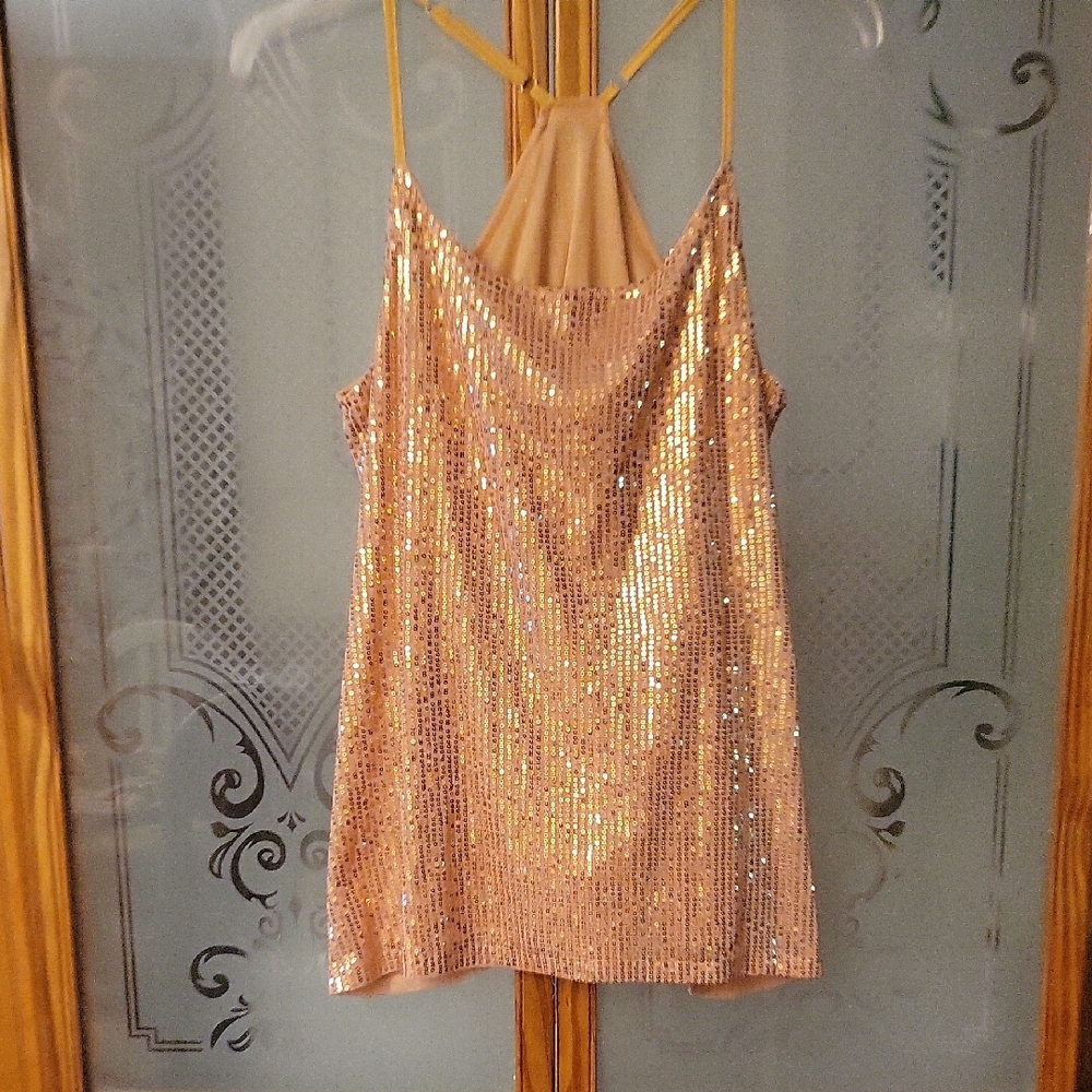 Sequin Halter Top Worn Once